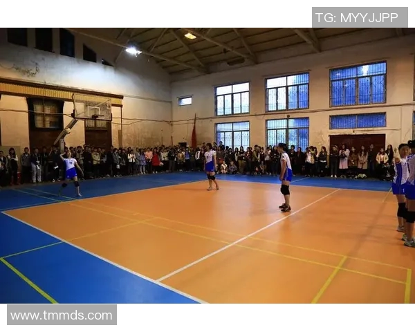 武汉排球队的比赛经验揭秘：排球巨献背后的故事与技巧探讨