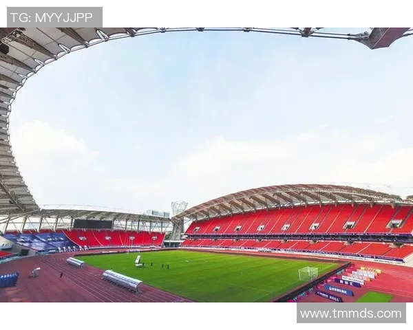 武汉排球队状态变革引发热议球迷期待新篇章的开启与挑战