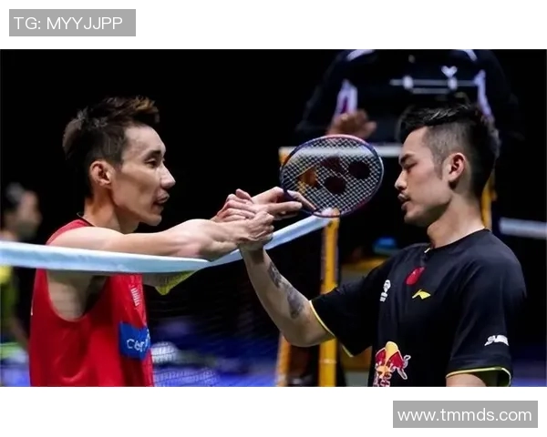 2004年林丹与李宗伟的巅峰对决回顾与精彩瞬间分析 2004年林丹与李宗伟的巅峰对决回顾与精彩瞬间分析