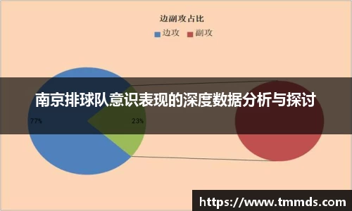 南京排球队意识表现的深度数据分析与探讨
